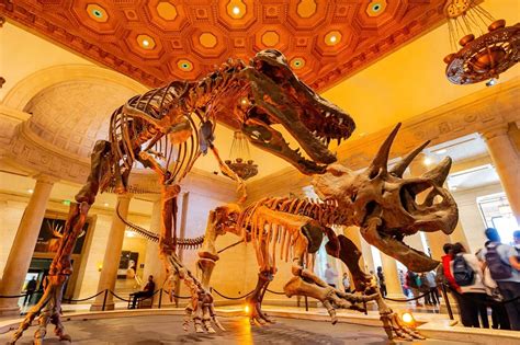 dinosaur museum america|Best Dinosaur Museums in the US: The Largest .